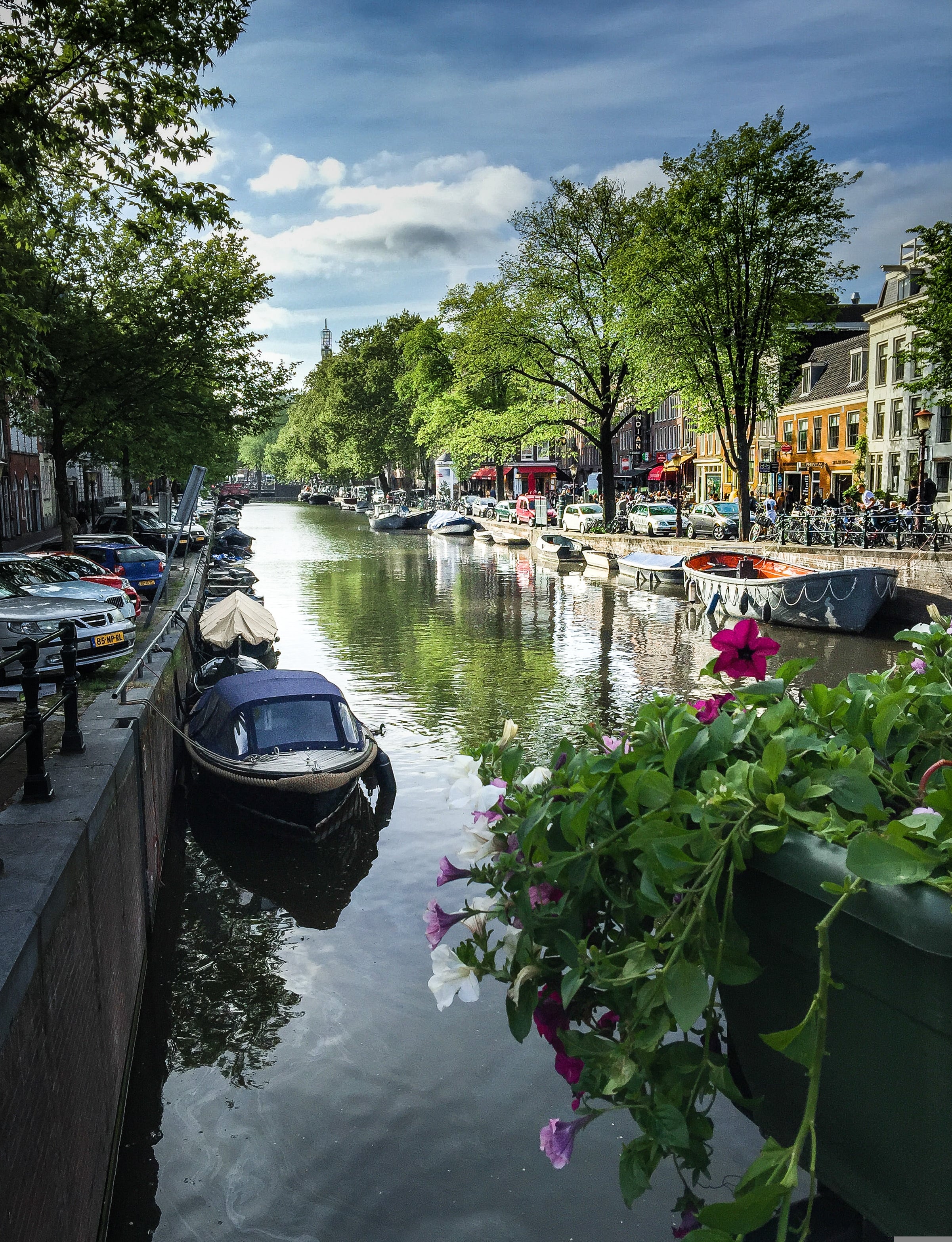 Amsterdam adaptation placeholder image